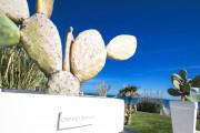 Canne Bianche Lifestyle Hotel