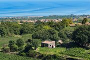 Monaci delle Terre Nere