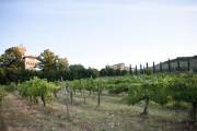 Tenuta di Lupinari